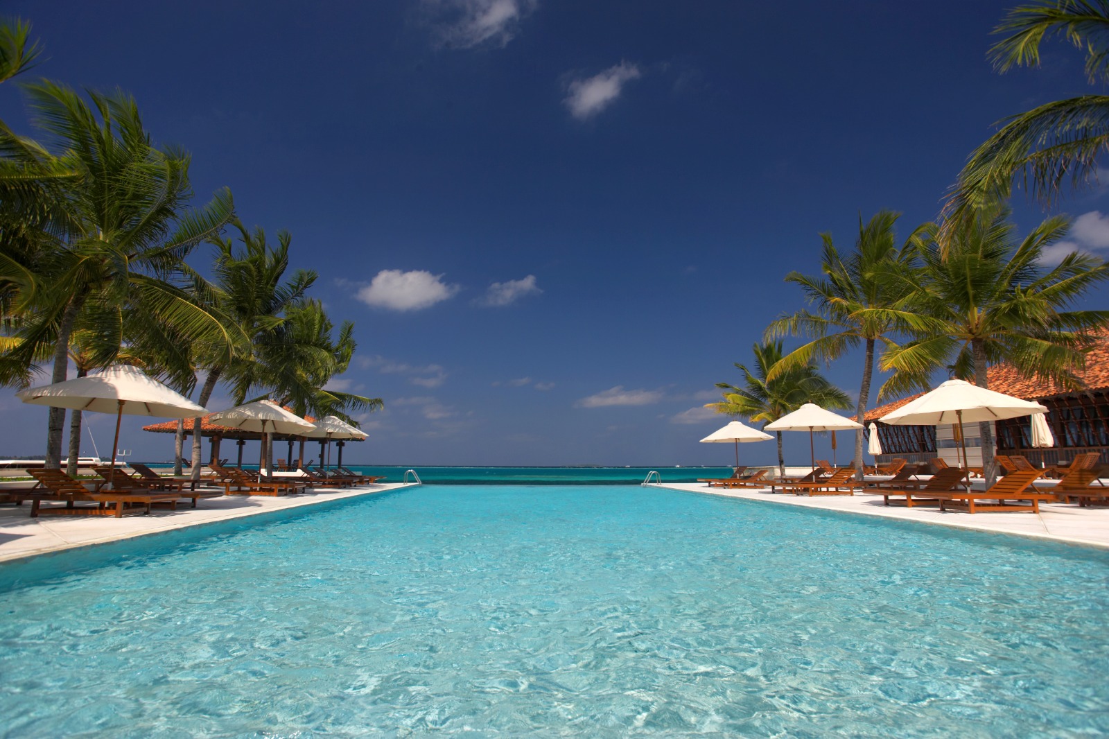 Member news background