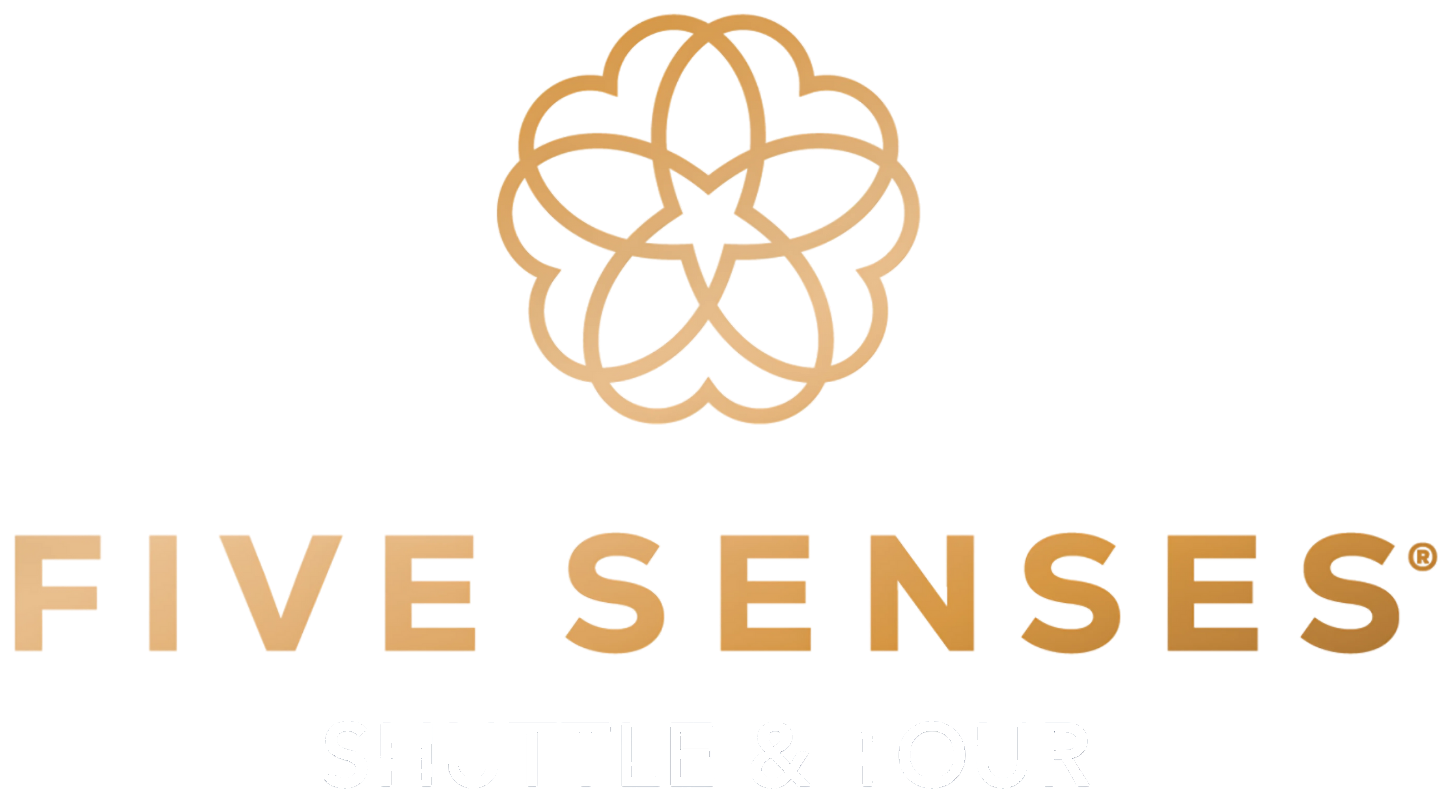 Fivesenses Logo